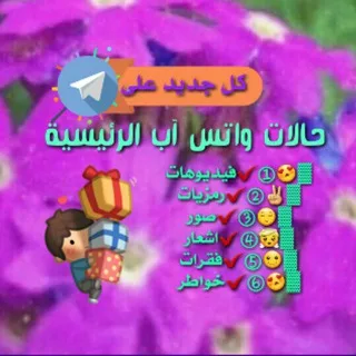 storoy_hd