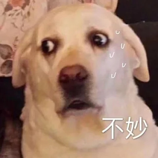 🔥秘密花园🎖官方频道