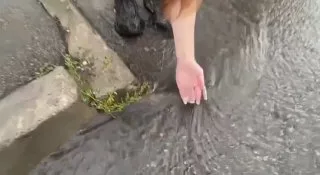 Госпожа Эвелин СЛИВЫ 😗
