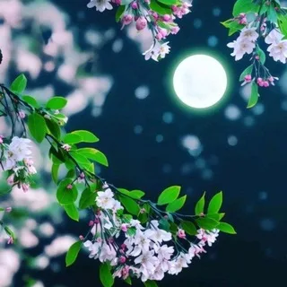 Telegram Theme / Wallpaper / Couple Pf โก๏ธ