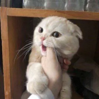 DiSugar